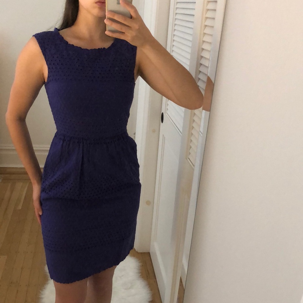 J. Crew Purple Dress with circle details